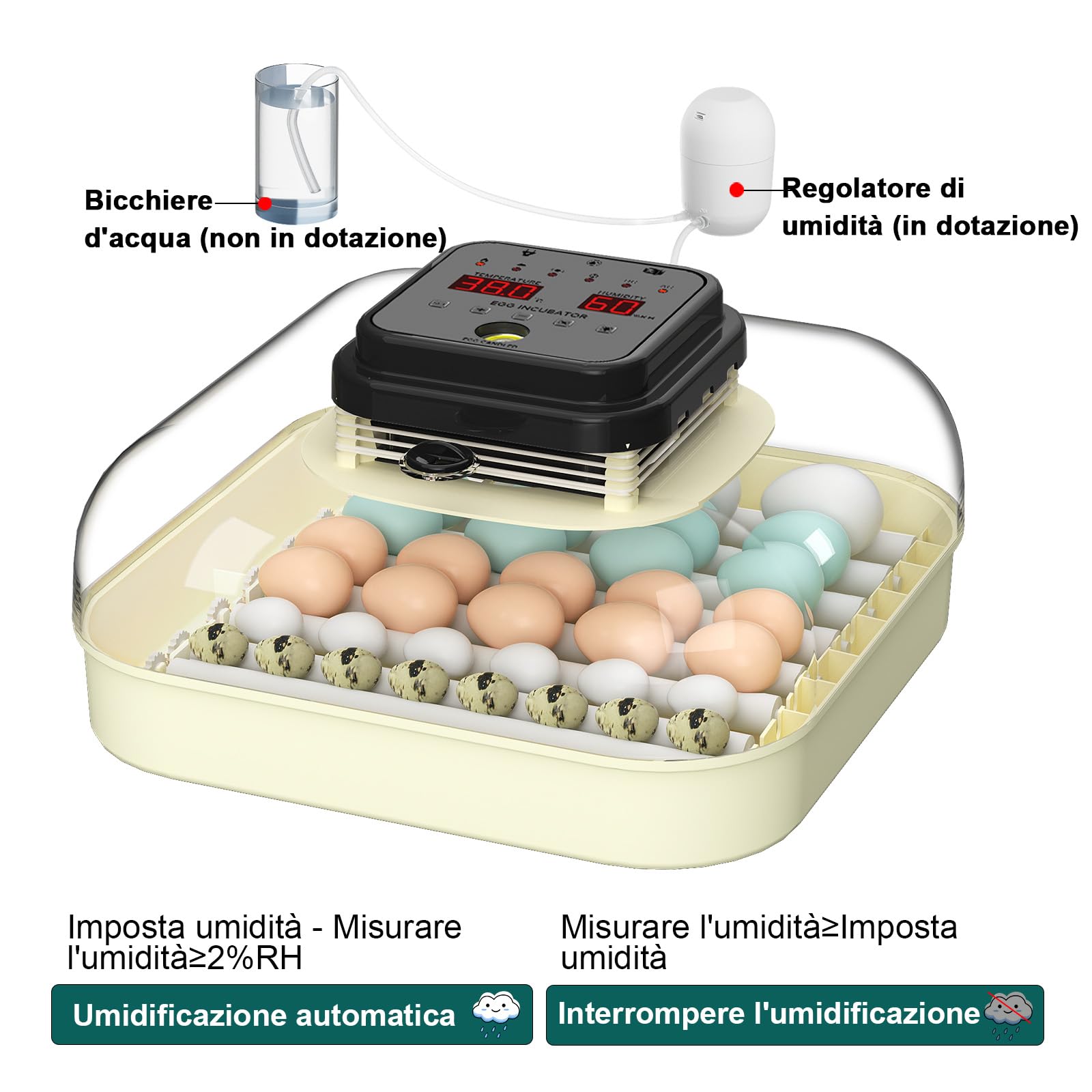 Incubatrice Uova Automatica Da 35 Uova - Con Rotazione Automatica E Controllo Umidità - Per Galline, Quaglie, Anatre - Foto 8