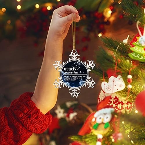 Miniatura 7 de CowkissSign Adornos de estudio  Adorno de definición de estudio de Navidad  Diccionario Significado de Navidad Copo de nieve de metal Árbol de