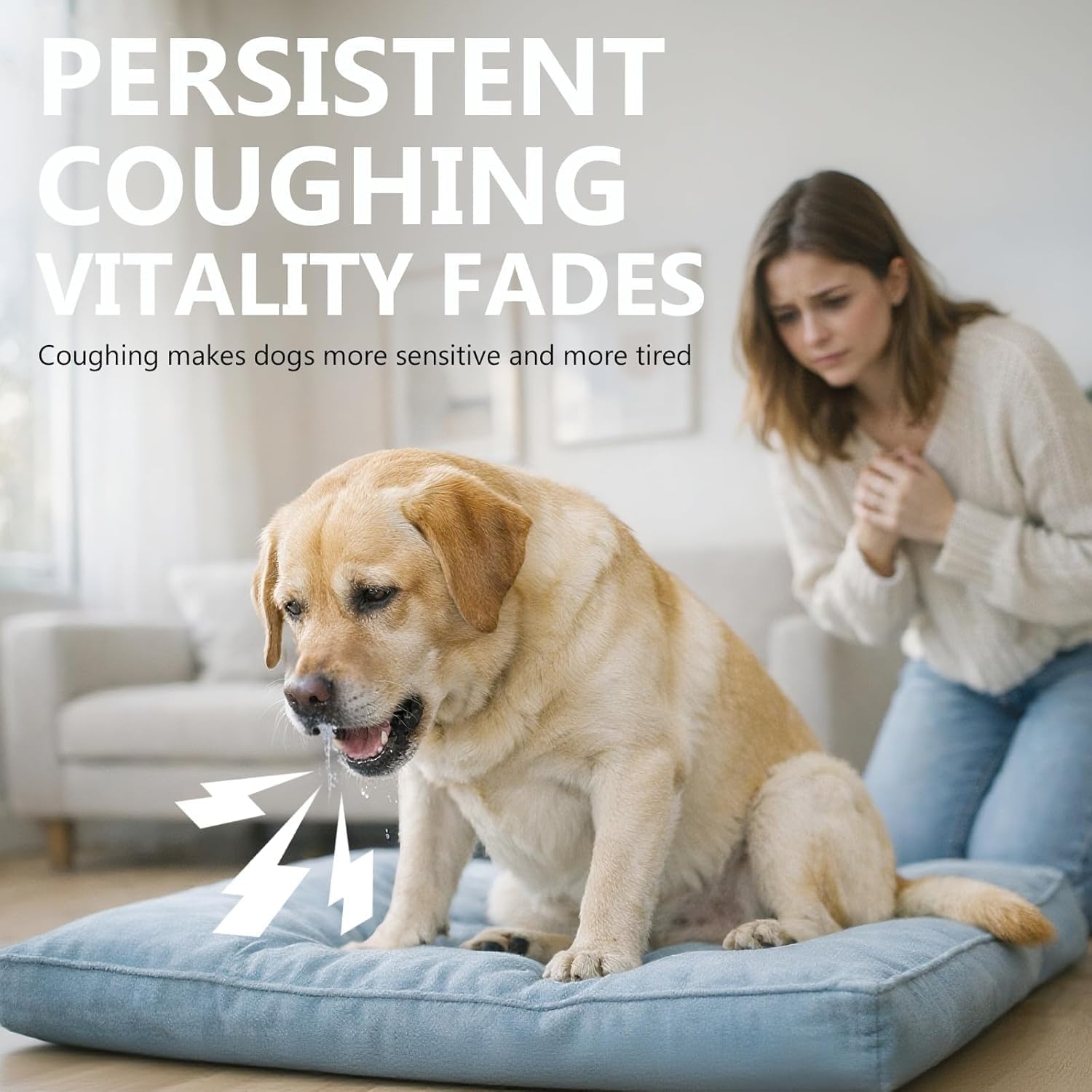 Dog Cough Relief Chews, Chicken Flavor — Amazon image 2