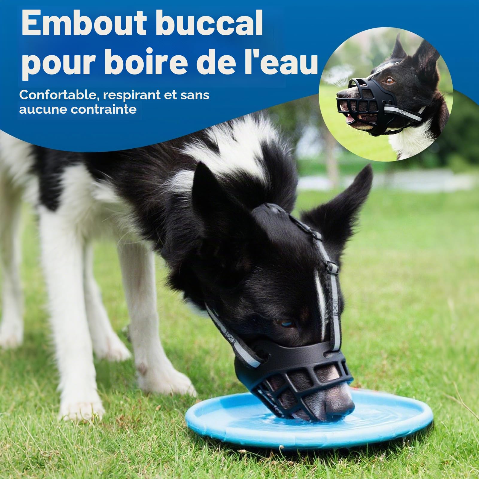 Museliere pour Chiens, Museliere Chien Musoliaire Chien avec Sangles Réglables Museliere Anti Aboiement Mieux Prévenir Les Morsures Mâcher et Aboyer pour Petits Moyens Et Grands Chiens (Taille 3)