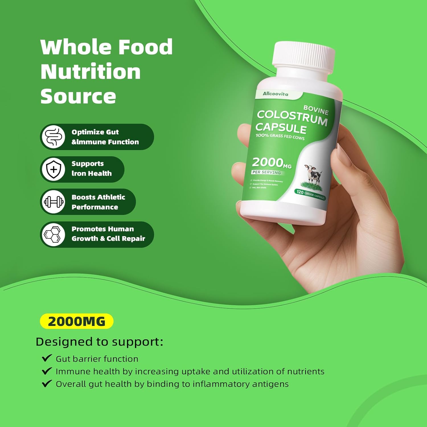 Bovine Colostrum Capsules Supplement 2000mg- 120 Capsules - Gut Health, Muscle Recovery, Energy, Hair, Skin and Immune Supplement | 50% IgG Cow Colostrum for Humans | Superfood, Gluten Free.