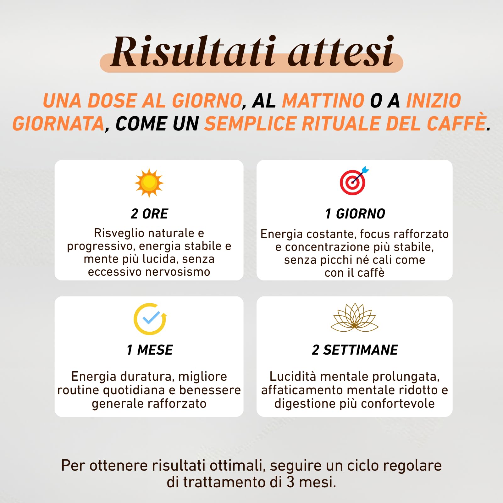 French Mush BOOST - Caffè Bio con Funghi | Caffè, Cicoria, Lion’s Mane, Chaga, Maitake & Pleurotus | Bevanda Vegetale - Senza Zuccheri Aggiunti - Prodotto in Francia - 20 Dosi
