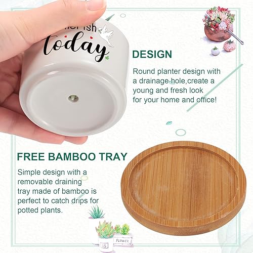 Miniatura 3 de Juego de 6 piezas de regalo con versículo bíblico cristiano, maceta divertida para suculentas con bandeja de bambú, maceta divertida de cerámica,