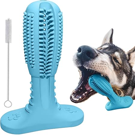 dog chew brush