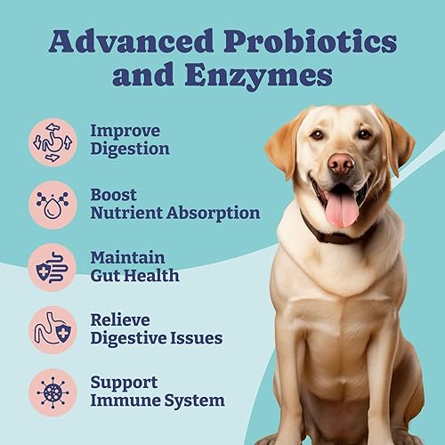 Miniatura 2 de Probióticos para perros, probióticos para perros y enzimas digestivas, pre y probióticos más de 1 mil millones de UFC, para la salud intestinal y la