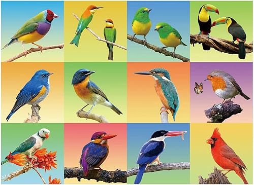 Rompecabezas de 300 piezas para adultos, adolescentes y niños, idea de regalo feliz para la familia, pájaros de animales