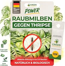 GREEN GUARDIA Power Predator Mites Against Thrips - 10 Bags - Biological Agent for Effective Thrips Control for Indoor and Ornamental Plants as well as Cannab - Environmentally Friendly, Chemical-Free Agents