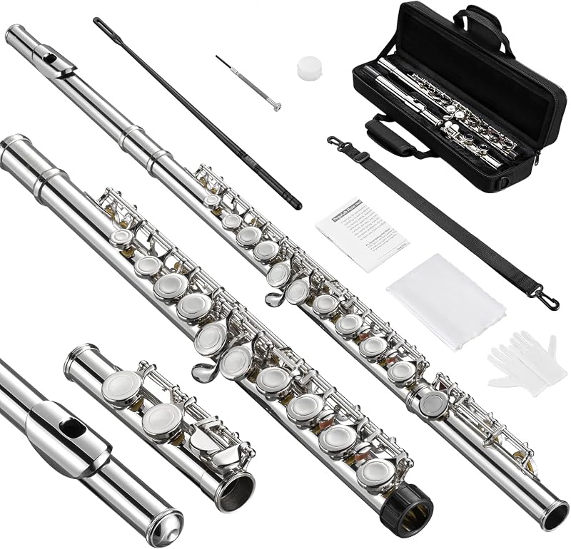 POGOLAB Closed Hole C 16 Keys Flute for Student Beginner, Flute Instrument with Cleaning Kit, Carry Bag, Strap, Probe Rod, Gloves (Nickel)