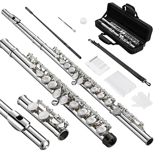 POGOLAB Closed Hole C 16 Keys Flute for Student Beginner, Flute Instrument with Cleaning Kit, Carry Bag, Strap, Probe Rod, Gloves (Nickel)