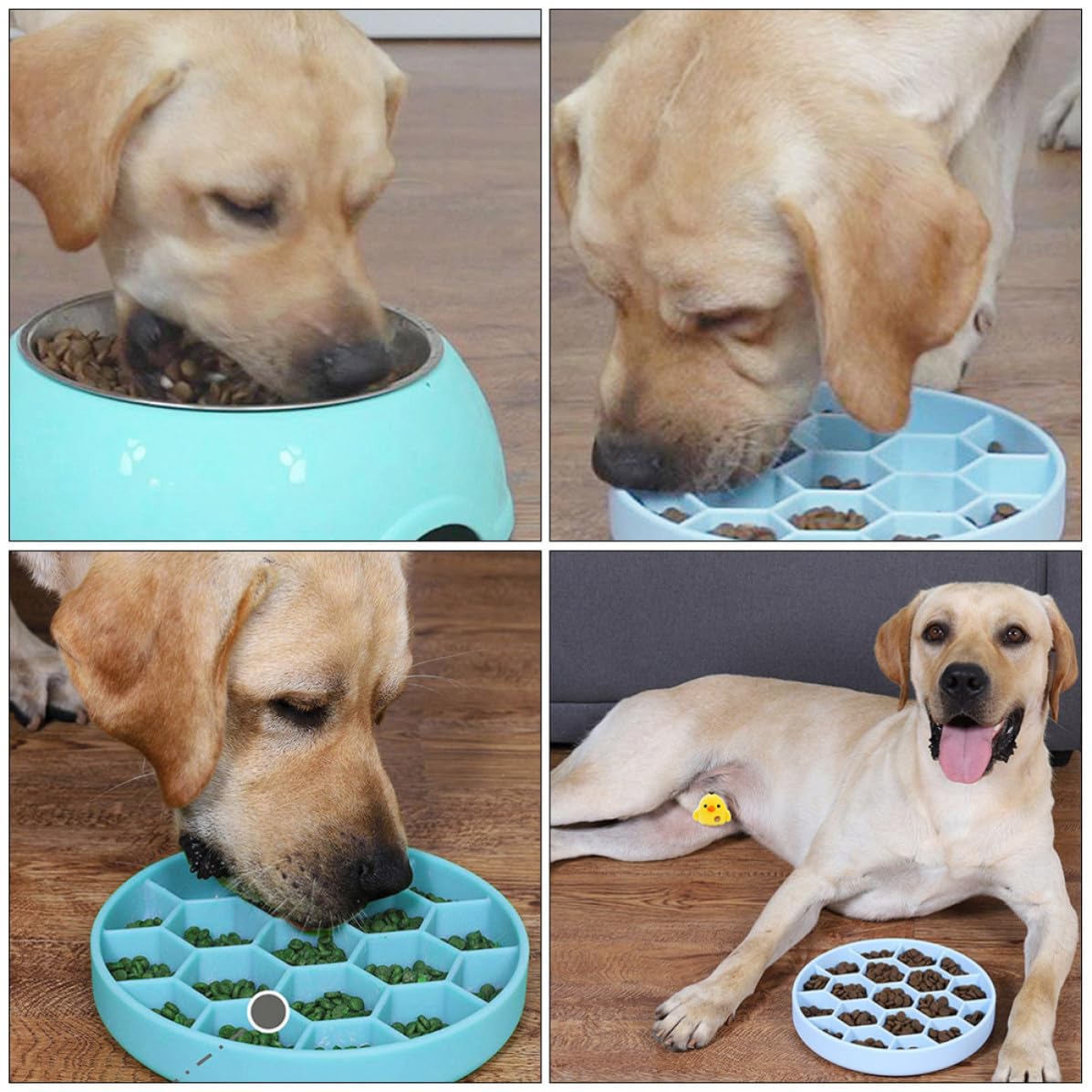 Ciotola Anti-soffocamento per Cani in Silicone Blu, Design Arrotondato | Base Antiribaltamento, Riduce Vomito, Finitura Decorativa Profili Morbidi