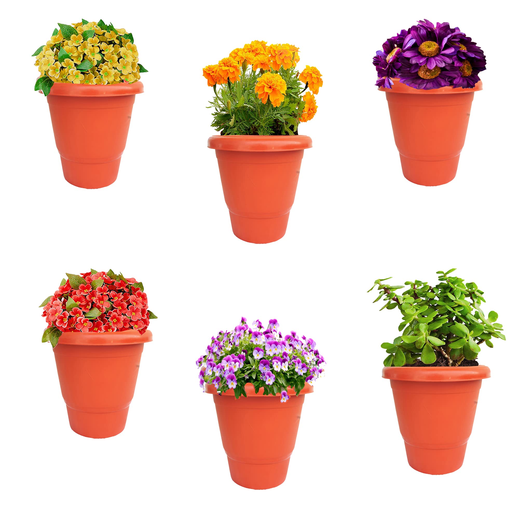 See full amazon price history chart for SAI Balaji_6 Inch Size Flower Pots_ Flowering Planter for Garden_Balcony_Pack of 6_ Terracotta Color SB1 SAI Balaji_6 Inch Size Flower Pots_ Flowering Planter for Garden_Balcony_Pack of 6_ Terracotta Color SB1 (B0BFX6W86S) Amazon Price History, Amazon Price Tracker