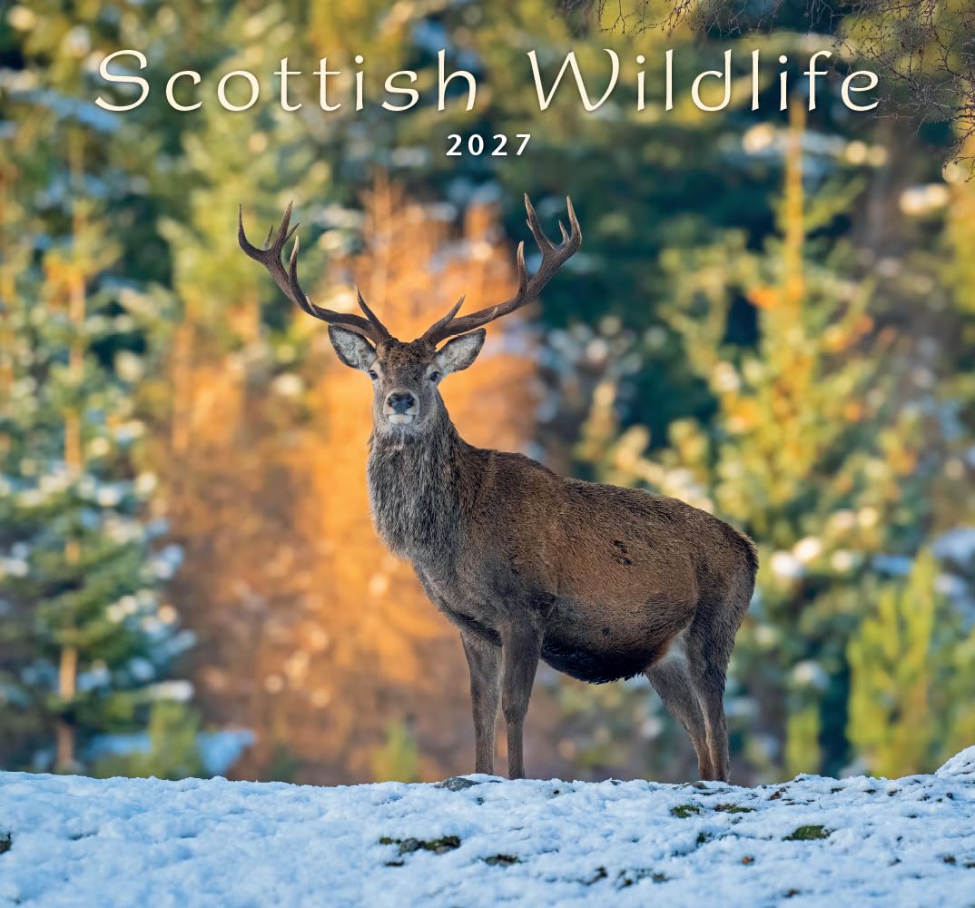 Colin Baxter, Scottish Wildlife Calendar 2027
