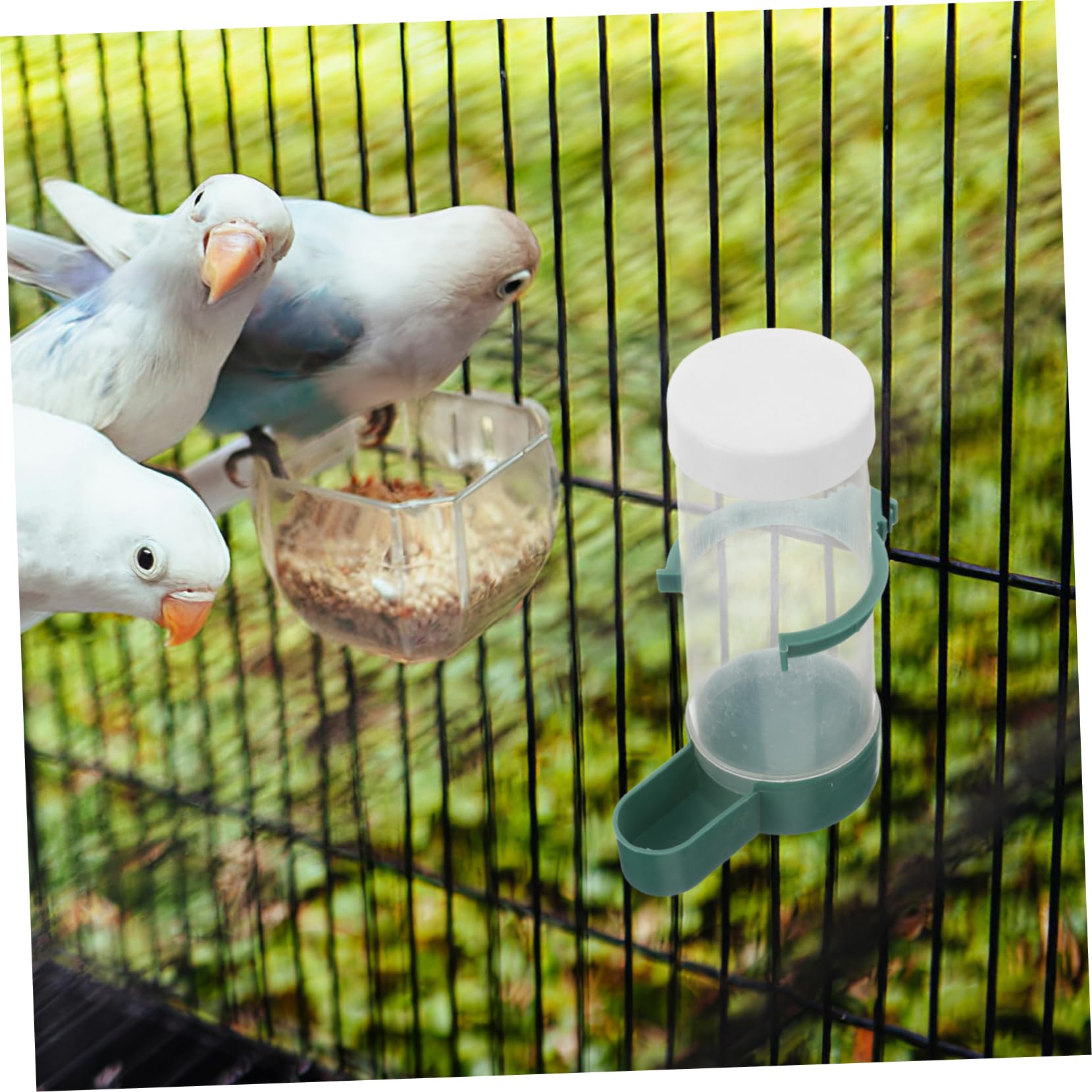 20pièces Distributeur Automatique Eau pour Oiseaux Lot de Abreuvoirs pour Perroquets Calopsittes Et Petits Oiseaux Accessoires De Cage Désordre
