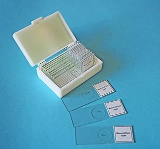 Monocot and Dicot Roots, classpack of 15 Slides
