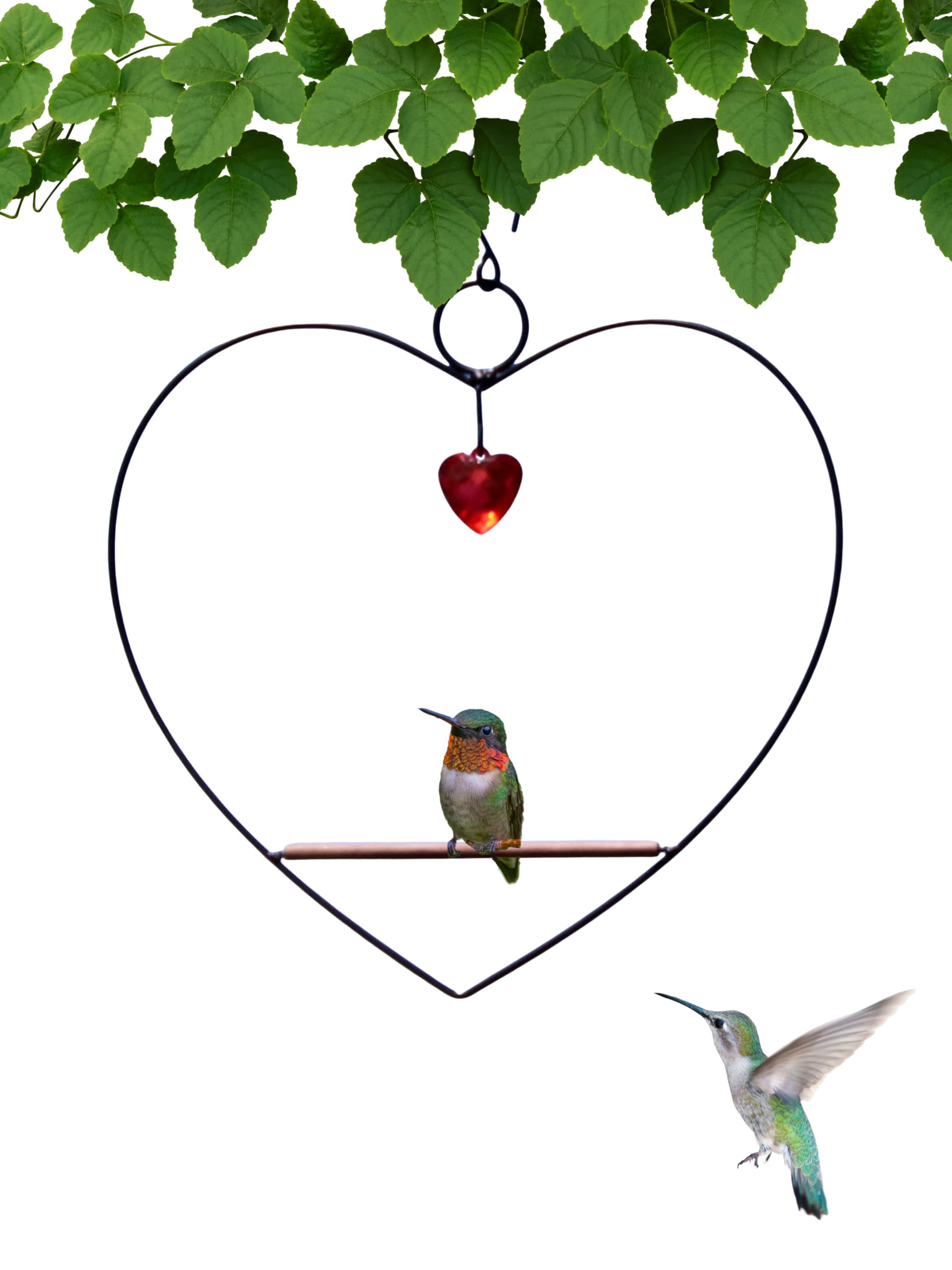 Columpio de colibrí con percha de metal negro resistente y diseño de corazón para jardín