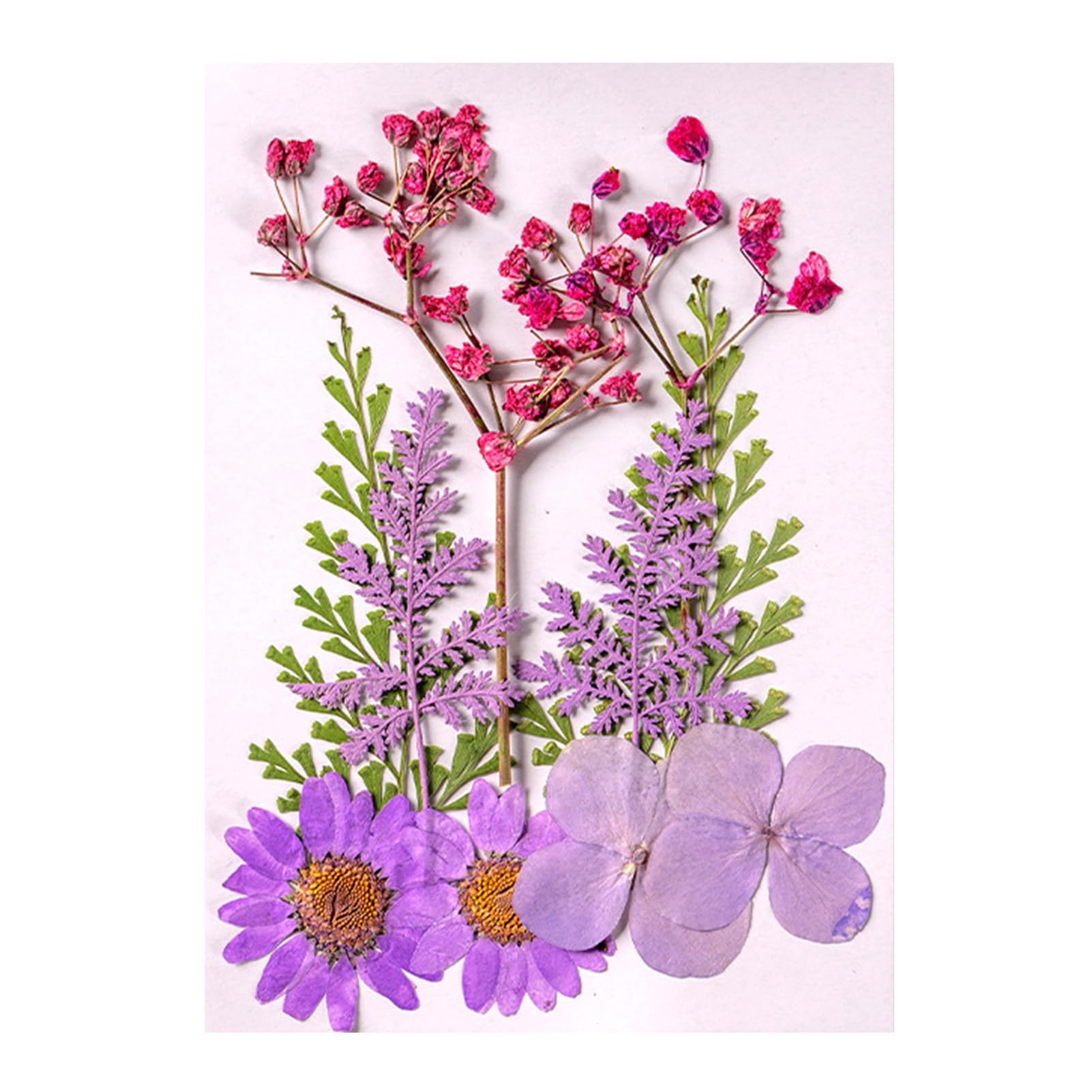 Hshduti Purple 10 Pcs Dried Pressed Flowers For Resin, Real Pressed Flowers Dry Leaves Bulk Natural Herbs Kit For Scrapbooking Diy Art Crafts, Epoxy Resin Jewelry Molds, Candle, Soap Making, Nails Décor