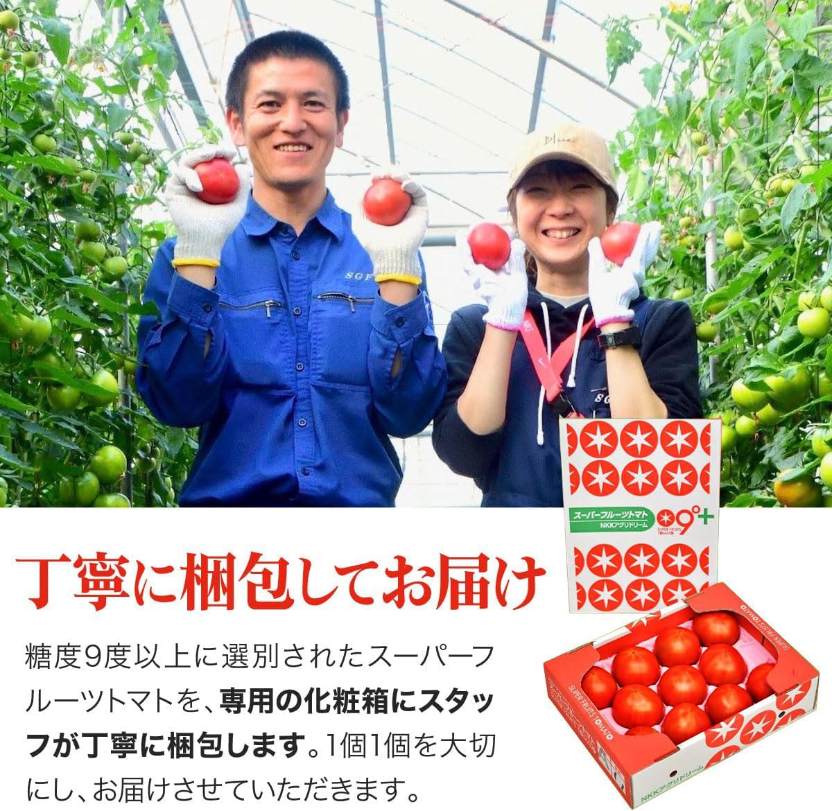 Amazon.co.jp: 【糖度9度以上】 完熟 高糖度 トマト フルーツトマト