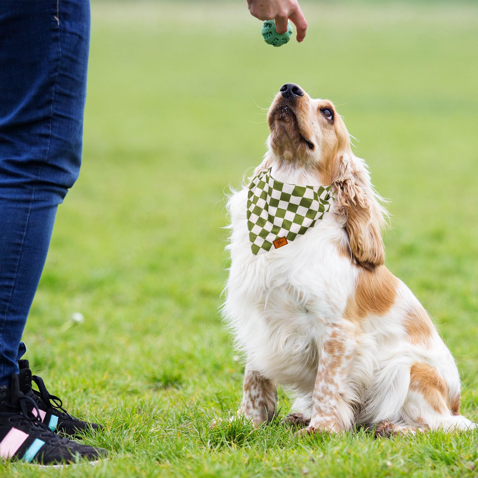Kariertes Hundetuch Aus Weichem Polyester – Verstellbar Für Mittelgroße Hunde & Katzen, Perfekt Für Alltag & Fotos