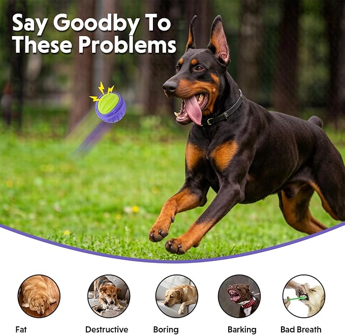 Pelota Sonora Indestructible LaRoo para Perros Pequeños/Medianos miniatura 8