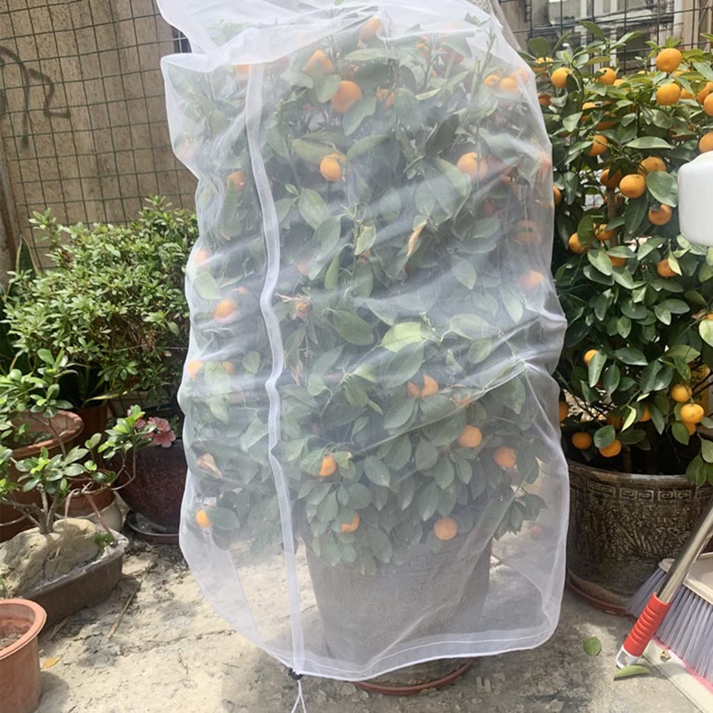 1 bolsa protectora for plantas, árboles y frutas de jardín(160x230cm)