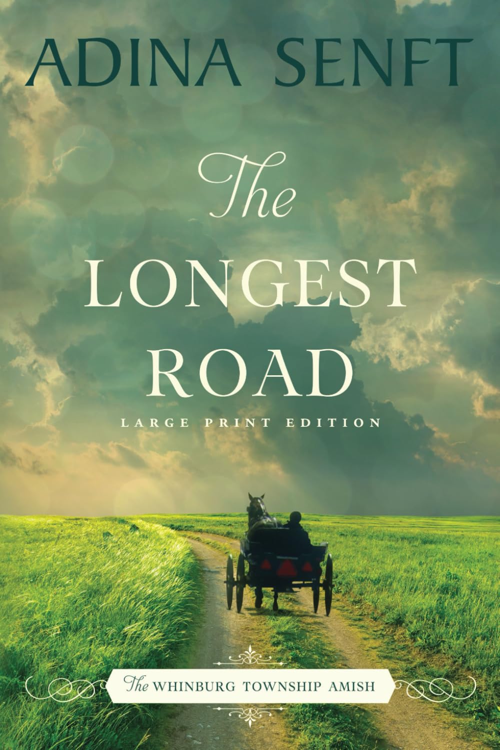 The Longest Road (The Whinburg Township Amish: Large Print)