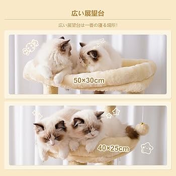 Amazon | Heybly キャットタワー 大きな猫や多頭飼い 超スリム