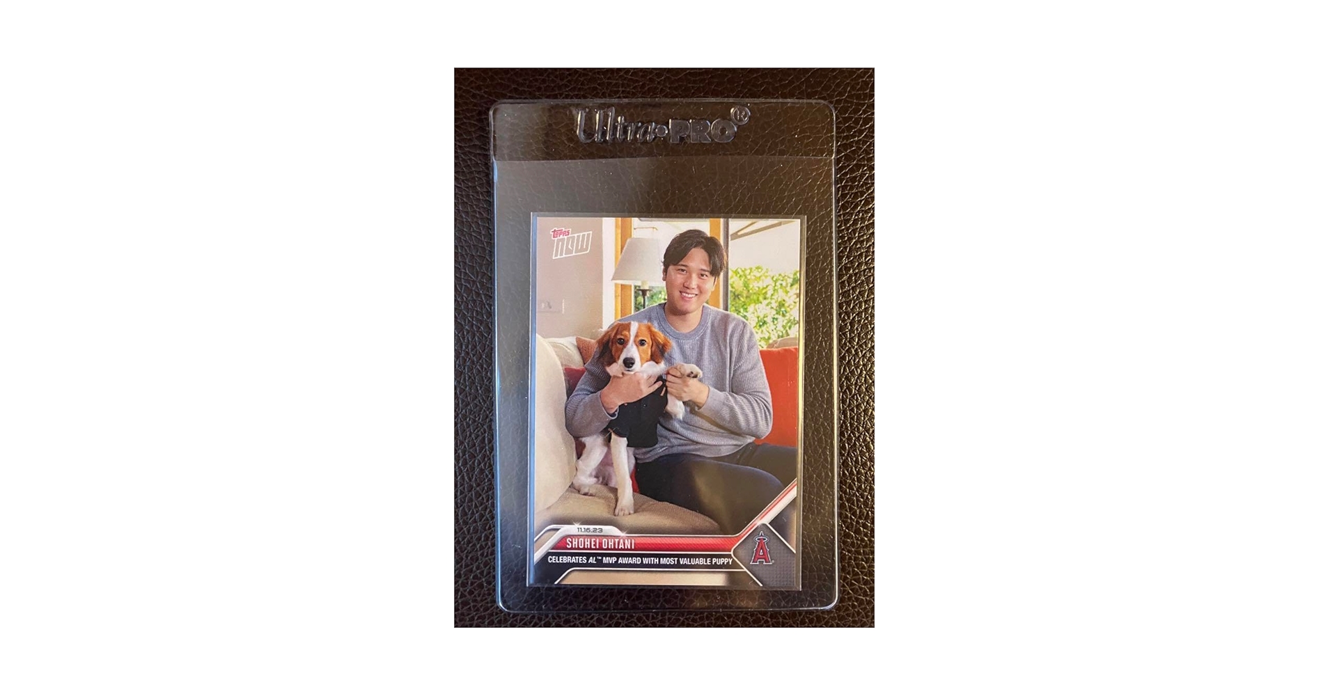 Amazon.co.jp: 大谷翔平 愛犬デコピン共演 2023MVP受賞記念