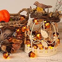 Vista 6 de BOHON - Cadena de luces de bellota 3D para otoño, decoración de cosecha, luces de cadena de 10 pies, funciona con baterías, con control remoto