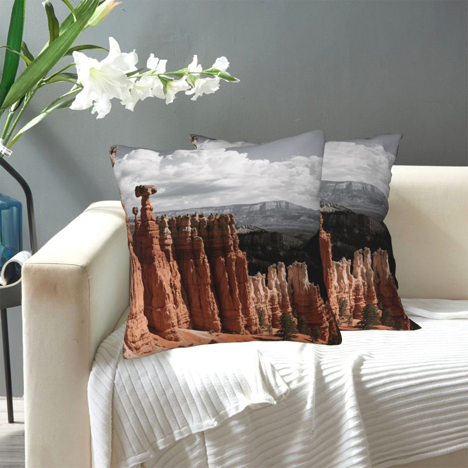 FekiLoot Decorative Throw Pillow Covers Modern Farmhouse Pillowcase Double Sided Cozy Cushion Cover for Sofa Couch Bed 18"X18" Bryce Canyon