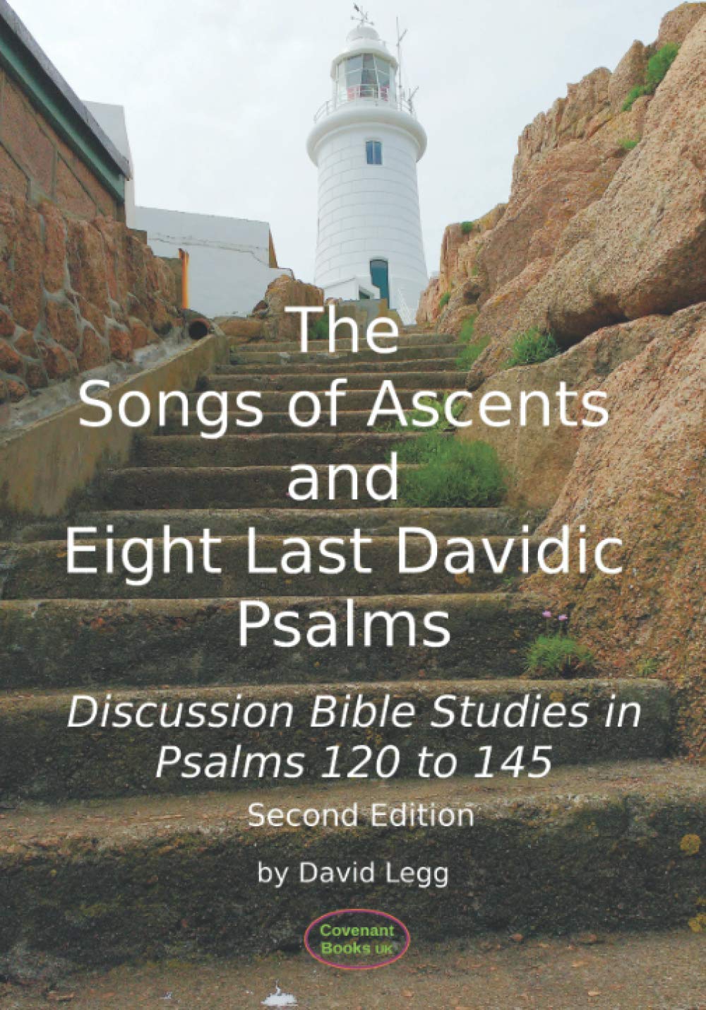 The Songs of Ascents and Eight Last Davidic Psalms: Discussion Bible Studies in Psalms 120 to 145: 1 (Small Group Bible Studies)