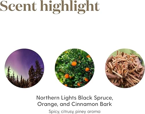 Miniatura 5 de Mezcla de aceite esencial Young Living Christmas Spirit 0.010 Pt