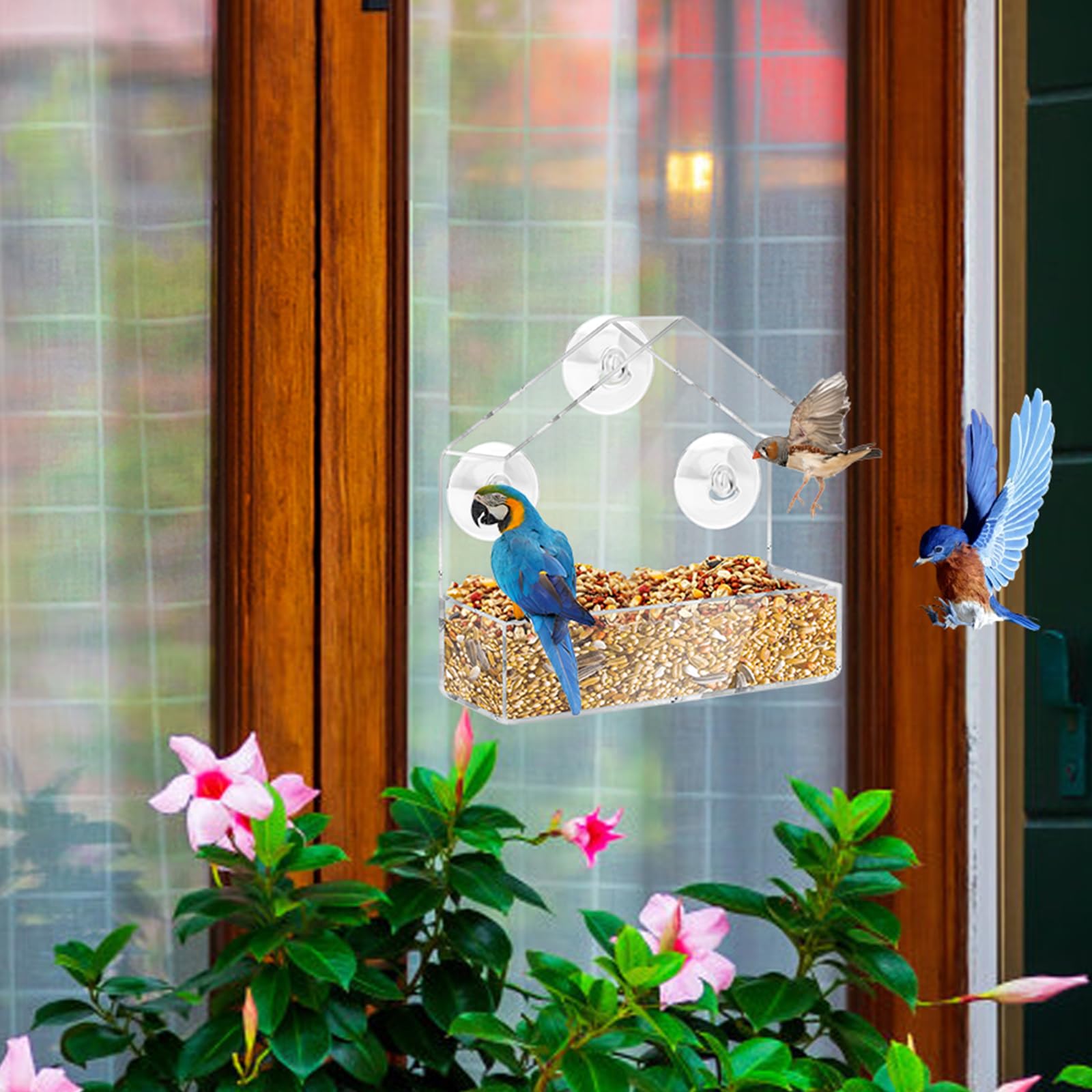 HGRGHH Comedero para Pájaros Acrílico, Comedero Pajaros Transparente, Comedero para Pájaros con 3 Ventosas, Comedero Pajaros Colgante para Jardín Pájaros Silvestres 15,5 x 15 x 6cm — view 7