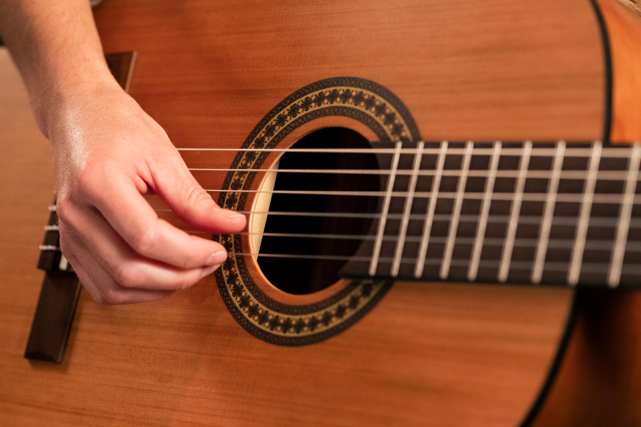 Ortega Guitars 4/4 Konzert Gitarre – Student Series – Zeder, Katalpa, Natur (RSTC5M) | Nylonsaitengitarre, Zederndecke & Katalpa-Korpus Satin-Finish