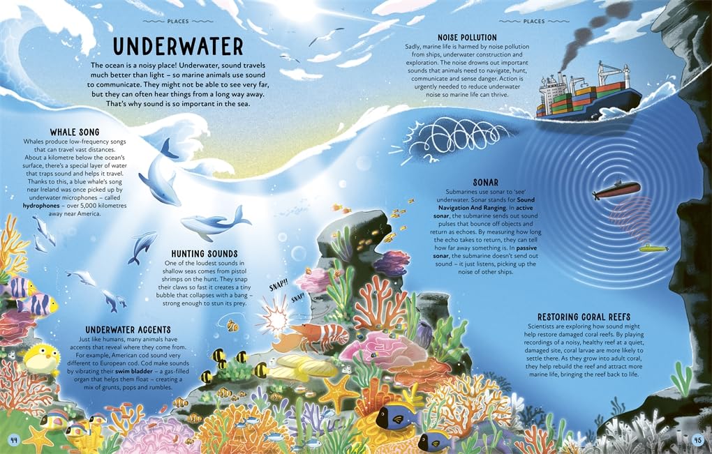 A Symphony of Sound: The Science Behind What We Hear
