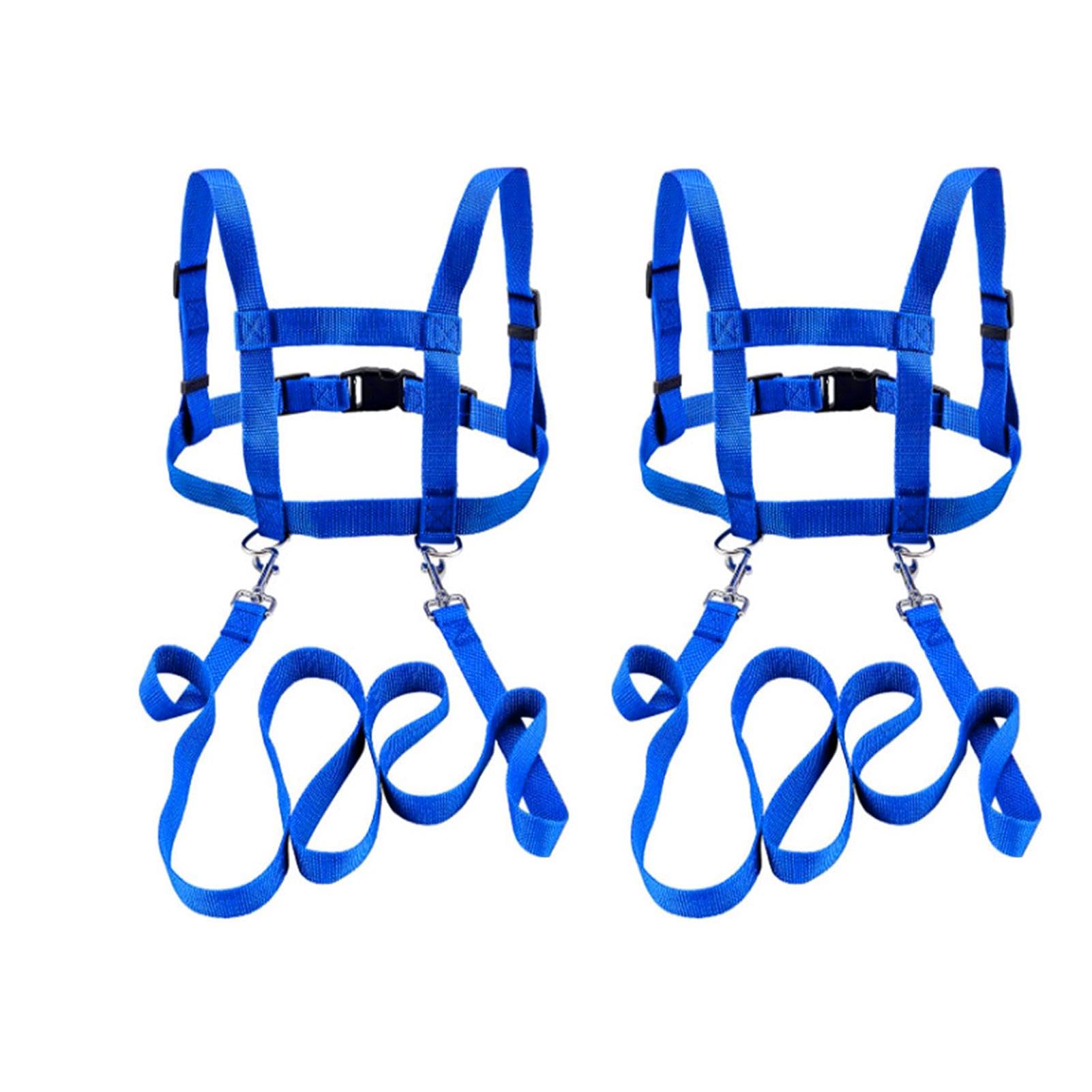 2 correas de caballo para jugar para niños, color azul, arnés ajustable para caballos, para niños y niñas, juguete para exteriores a partir de 3 años