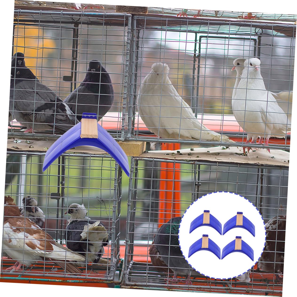 10 pièces Support Perchoir Oiseaux Bois Stand Multifonction pour Pigeons et Perroquets Barres Lisses et Sûres pour Repos et Jeu Adapté Aux Oiseaux Moyens et Grands Accessoire pour