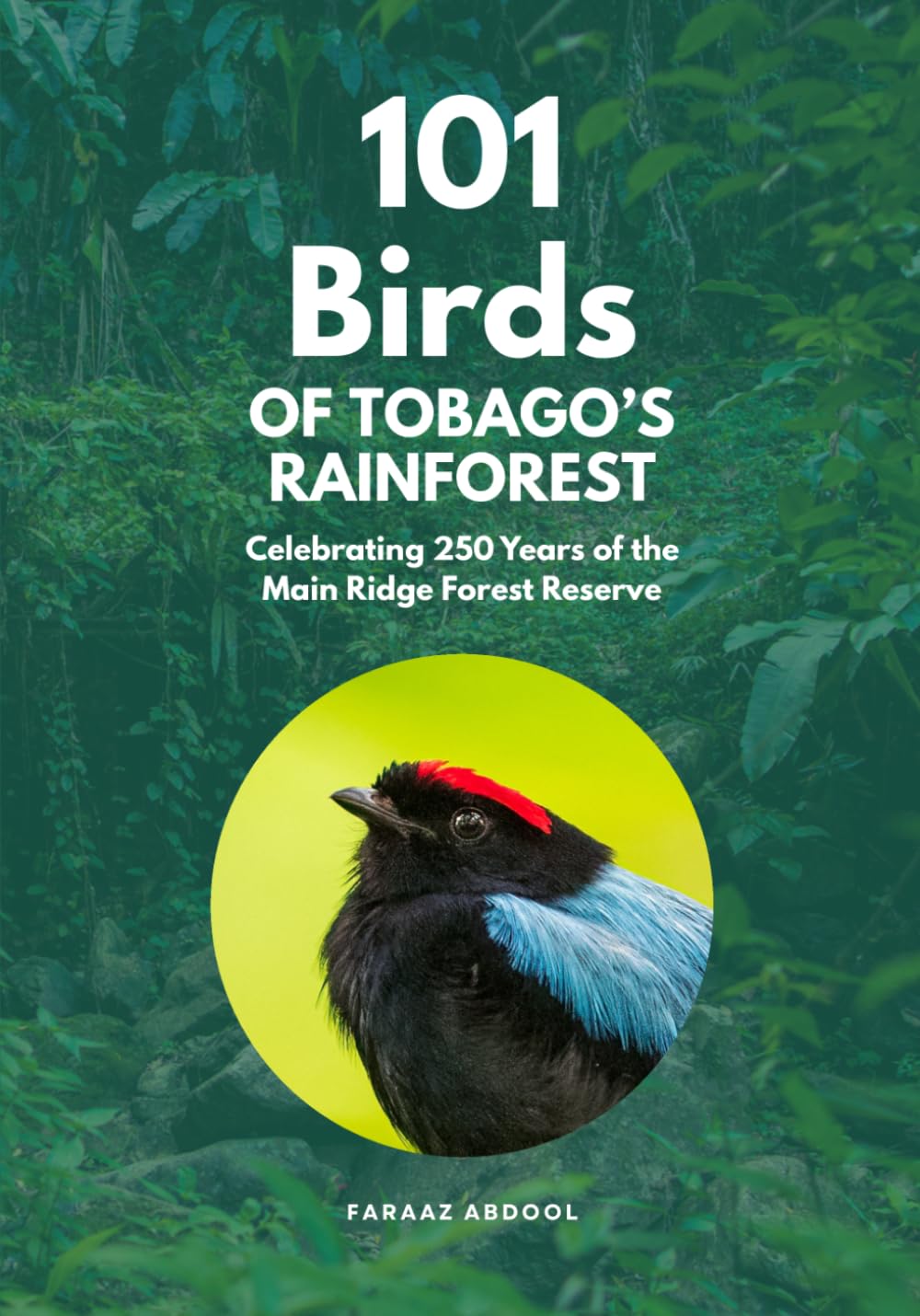 101 Birds of Tobago's Rainforest: Celebrating 250 Years of the Main Ridge Forest Reserve