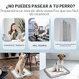 Ver la foto 7