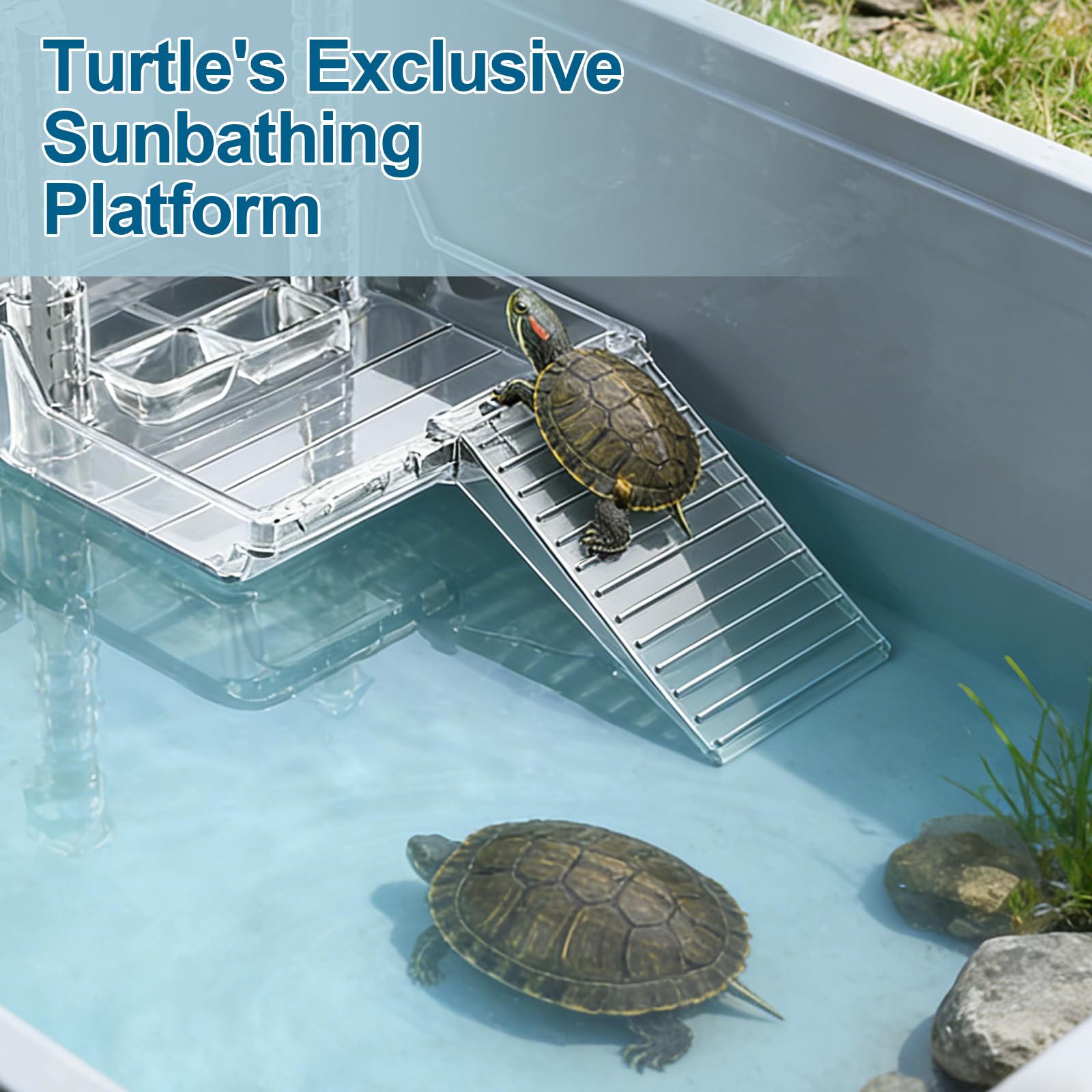 Plateforme Suspendue pour Tortues - Plateforme Tortue d'eau - Accessoires pour Aquarium, Adapté Aux Petites Tortues, Petits Reptiles, Animaux Aquatiques, RéGlable (Taille : M)