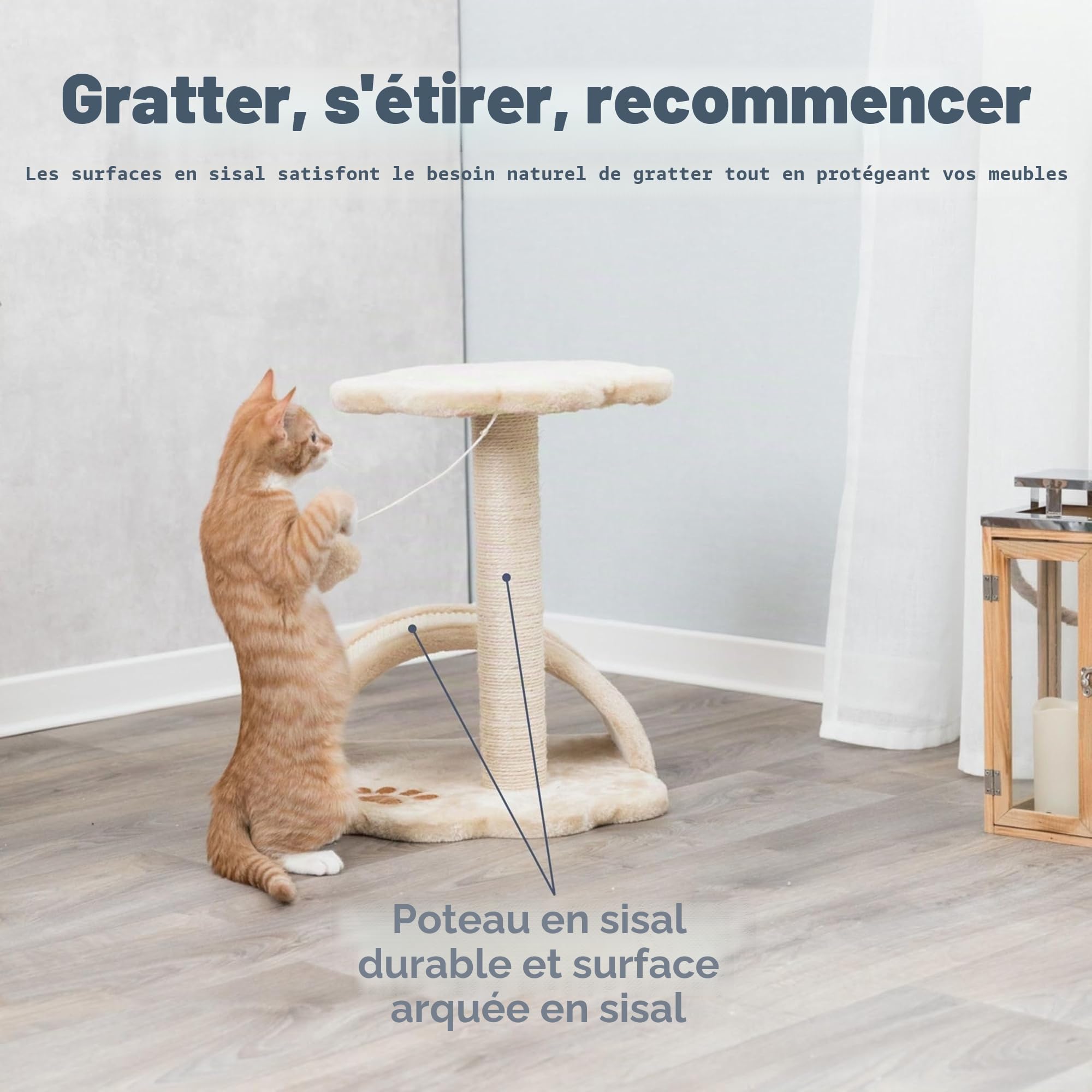 TRIXIE Arbre à chat Vitoria compact – Beige/naturel – 43 cm