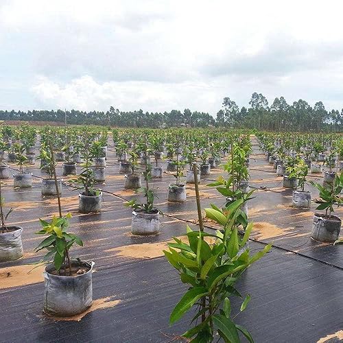 Miniatura 6 de 5.8 onzas, 3 pies x 300 pies Tela de barrera de malezas resistente y duradera, cubierta de bloqueador de malas hierbas para jardinería al aire