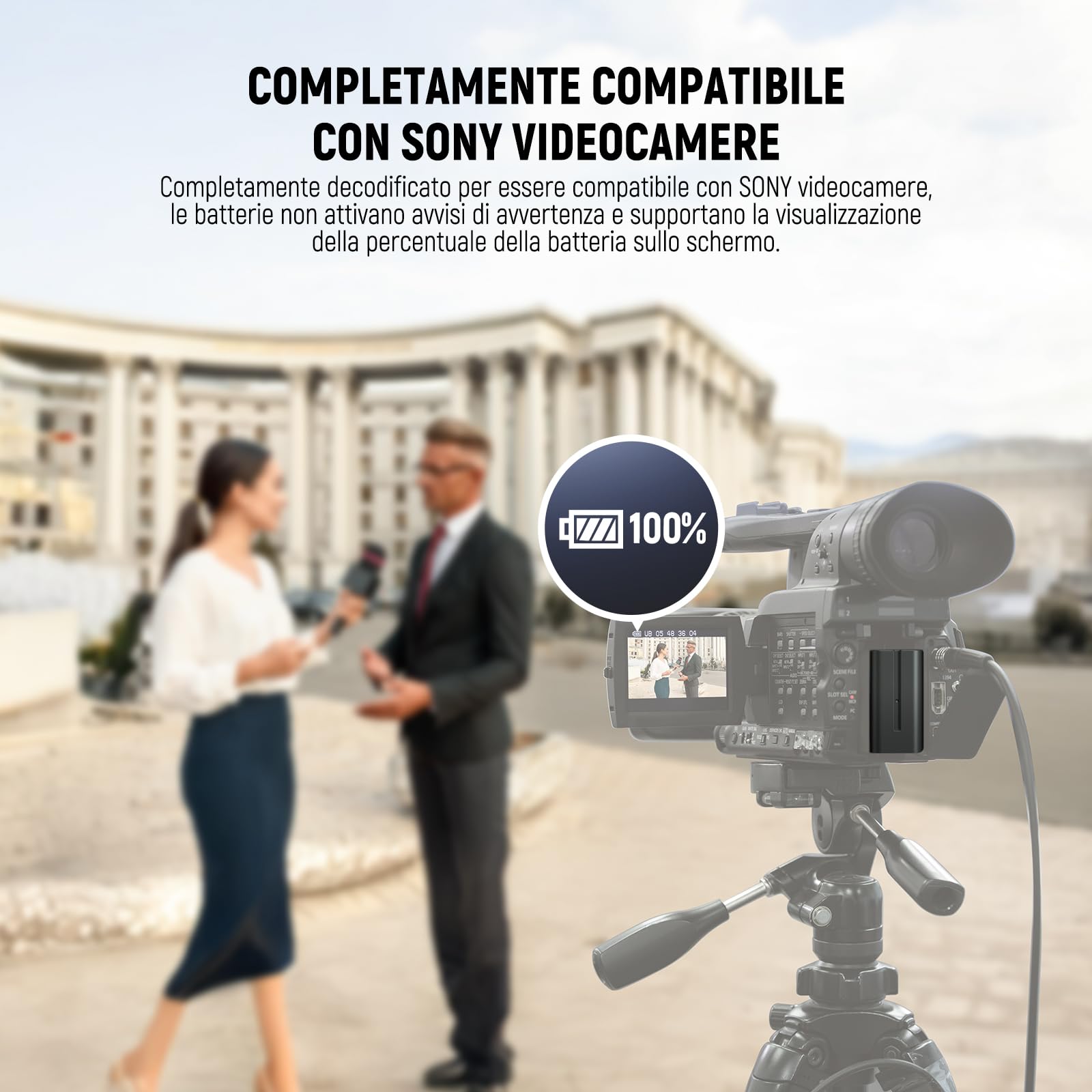 NEEWER BASICS NP-F970 Batteria Ricambio 7800mAh 2pz, Caricatore USB Doppio Compatibile con Sony NP-F970 F960 F950 F770 F750 F570 F550 FX3 FX30 A7 Canon R5 Nikon Z8 Camera Handycam Luce LED Monitor