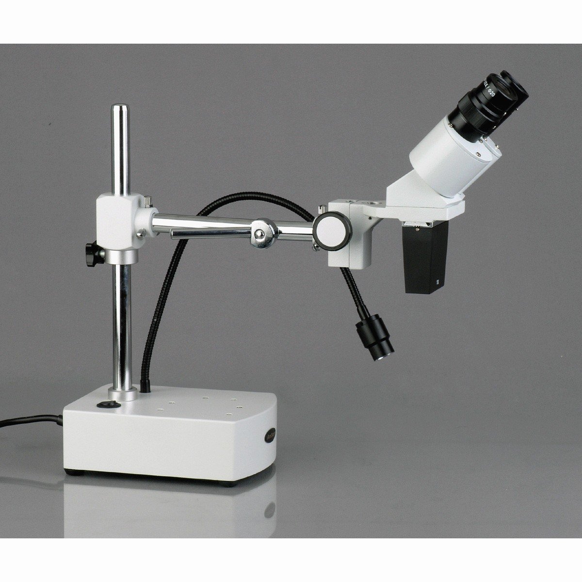 AmScope SE400-LED microscopio binocular LED 10x, brazo con cuello de cisne y luz