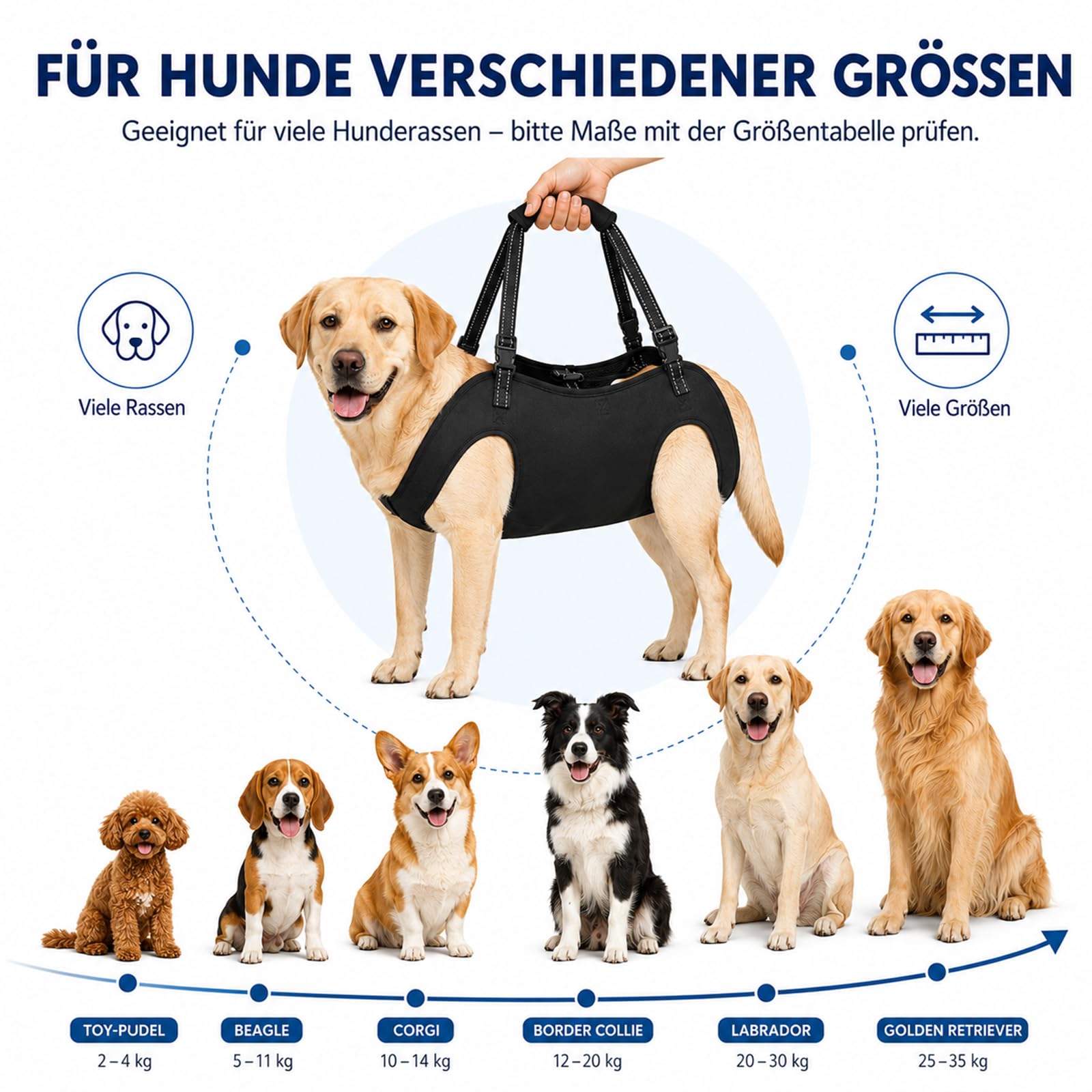 Tragehilfe Hund Groß, Hunde tragehilfe, Tragegeschirr Hund, Arthrose Geschirr Hund, Hundehebegeschirr für Verletzte Oder Ältere, Operation & Gelenkprobleme, Verstellbar & Gepolstert (L)