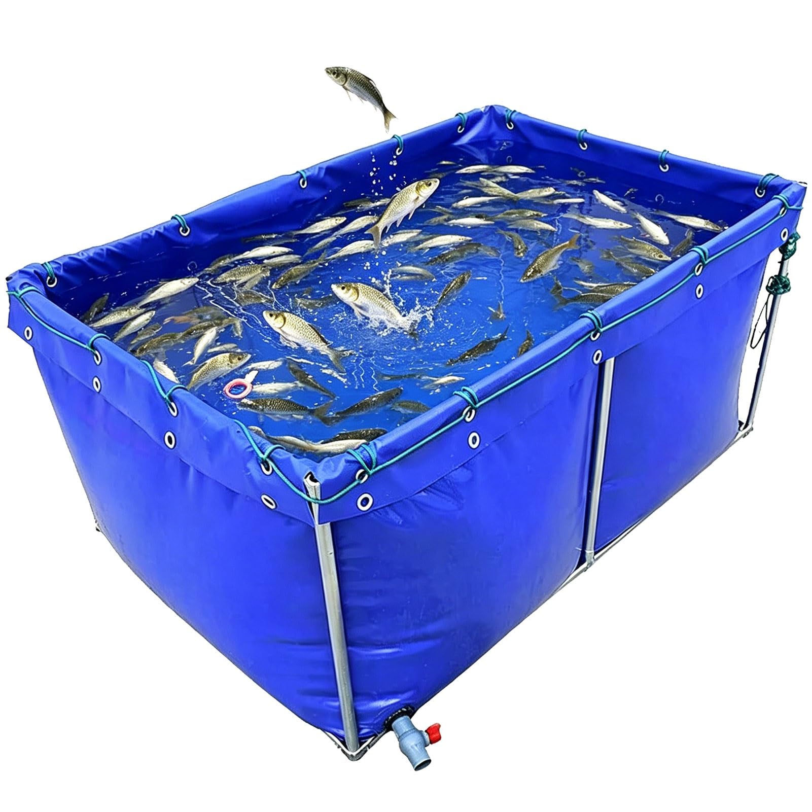 Réservoir d'étang à poissons en toile pour élevage de crevettes
