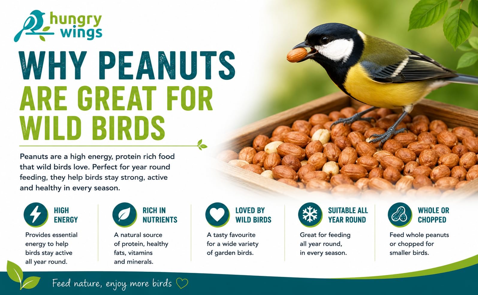 Nourriture pour Oiseaux Sauvages 5 L, Cacahuètes