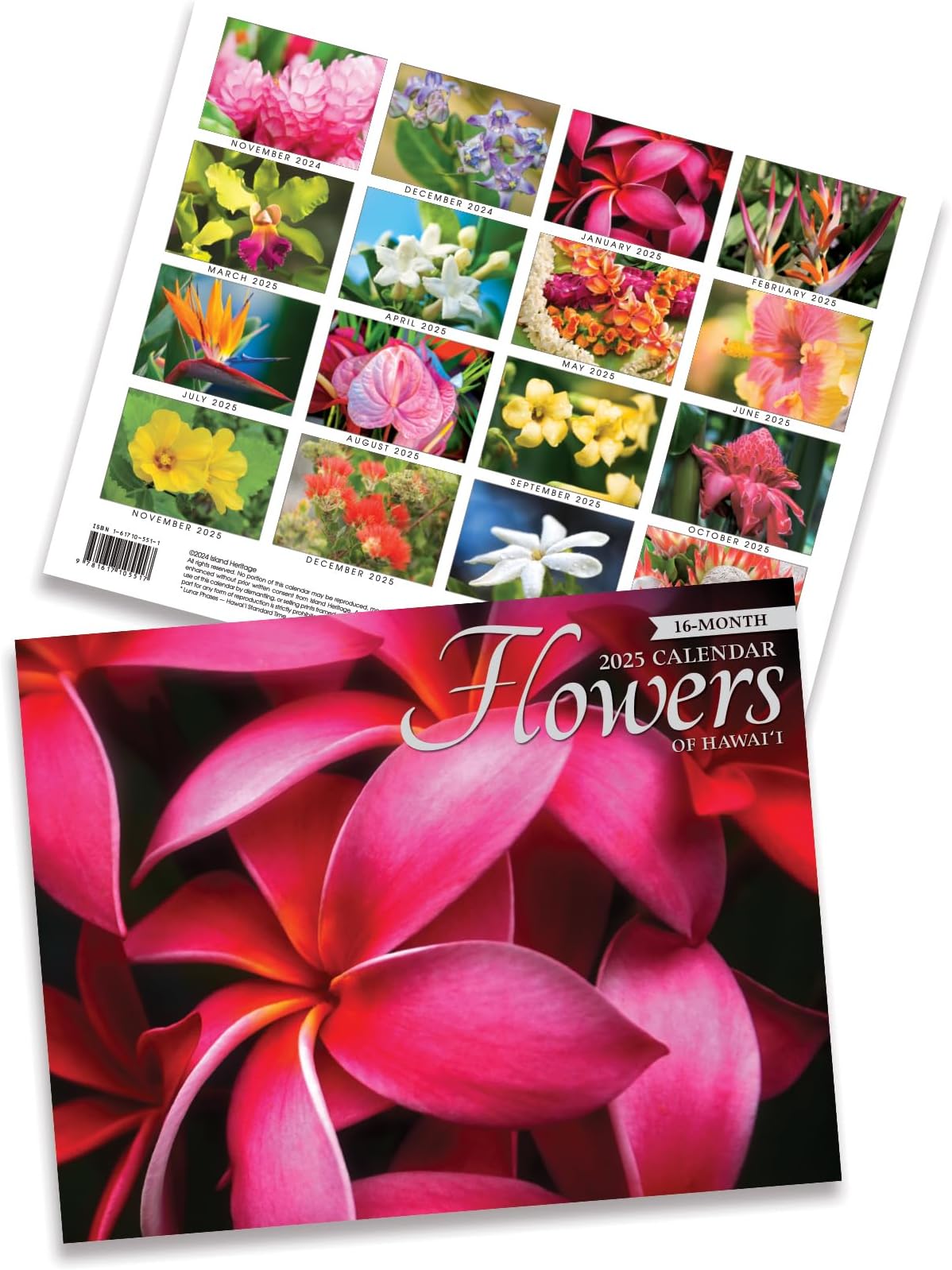 to the Islands Hawaii 16 Month Trade 2025 Calendar