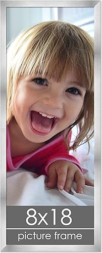 Miniatura 218 de Marco de 28 x 36 pulgadas de madera de peltre plateado con plexiglás acrílico UV, parte trasera de tablero de espuma y accesorios incluidos