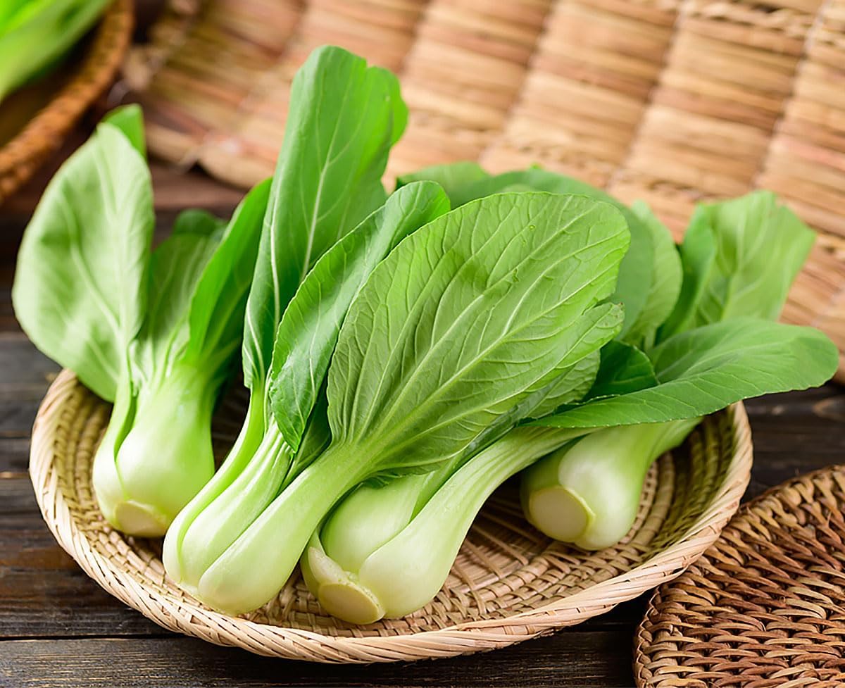 1100 Dwarf Shanghai Pak Choi Bok Choy Seeds - Premium Chinese Vegetable for Easy Home Gardening