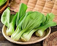 Shanghai Baby Bok Choy Seeds 1100 Count - Non-GMO Fast-Growing Chinese Vegetable for Home Gardens